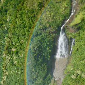a large waterfall in a forest