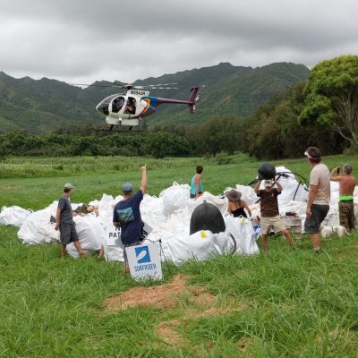 a group of people that are sitting in the grass