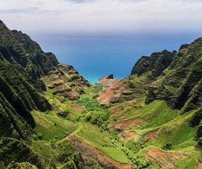 a herd of sheep walking across a lush green hillside