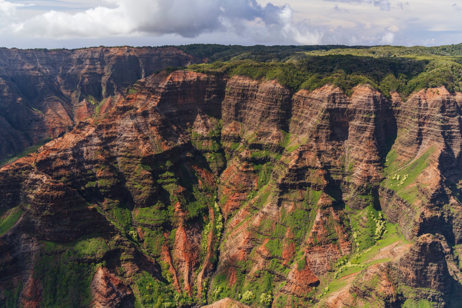 Aerial view of a vast, green and red canyon with cloudy skies.